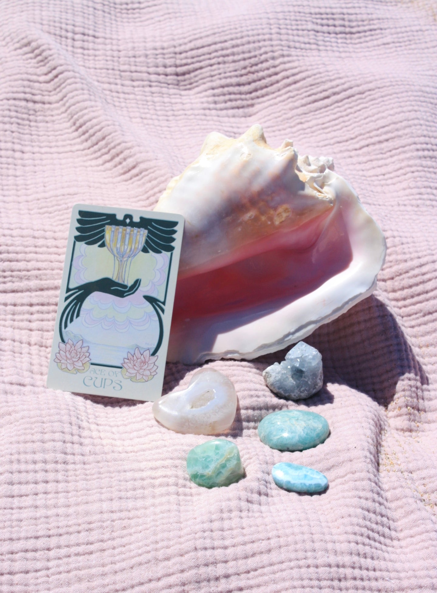 Tarot Reading