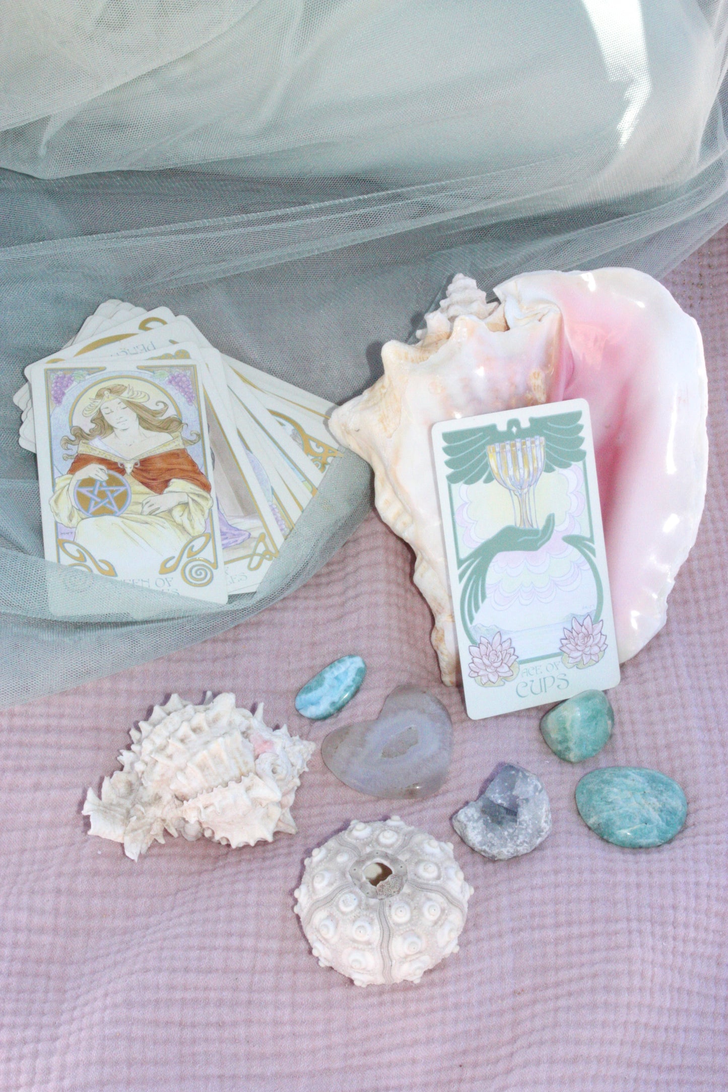 Tarot Reading